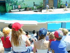 Luki, Alice, Lauren and Henry find the seal show distinctly unfunny.