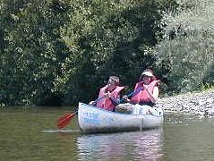 Canoeing in tree-infested waters