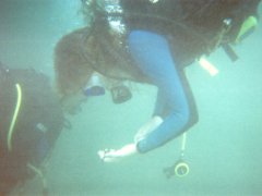 Alice with Sea Star