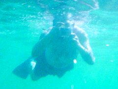 Nick takes underwater photo