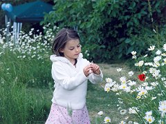 Picking flowers