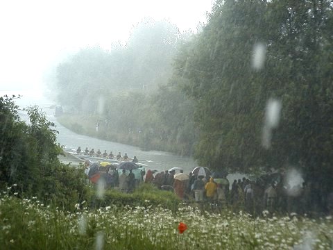 Bumps in the Rain