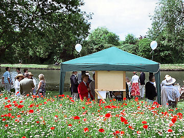 Poppies and People