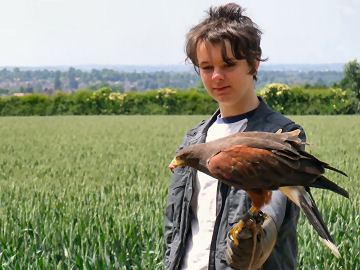 Henry and the Hawk