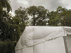 Bulging marquee